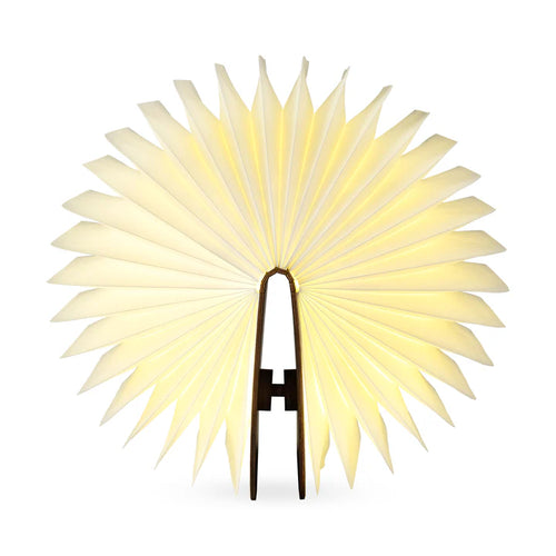 Decorative lamp with a starburst design on a white background